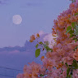 Meet your Posher, Blythe